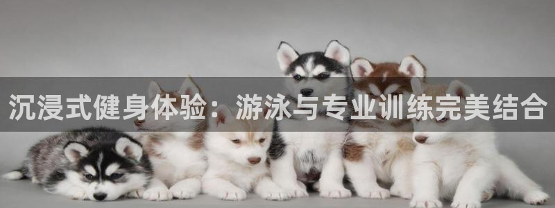 意昂2娱乐