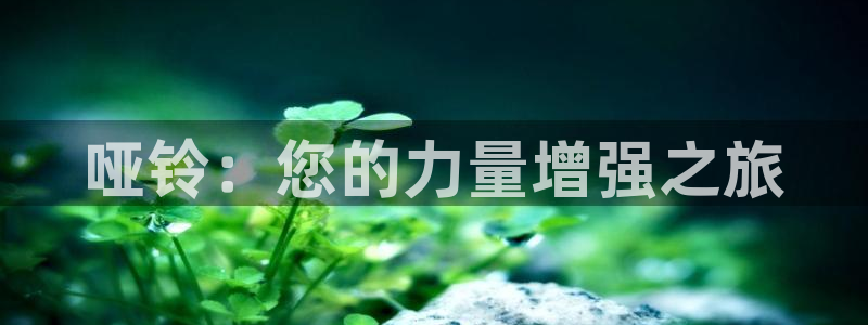 意昂2官方平台
