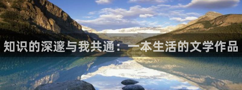 正义的使命顶点小说