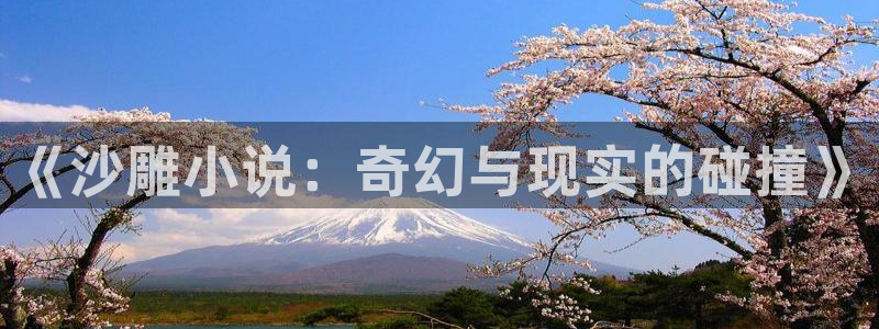 官术顶点小说