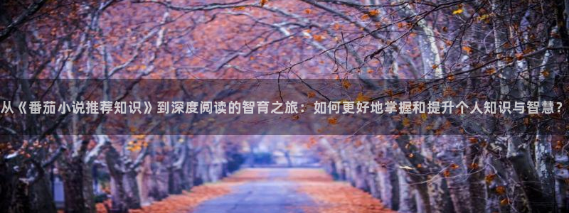 傲世丹神顶点小说